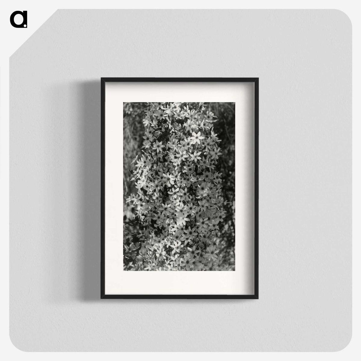 1-97_Leslie-Adkin_blk