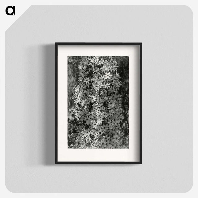 1-97_Leslie-Adkin_blk