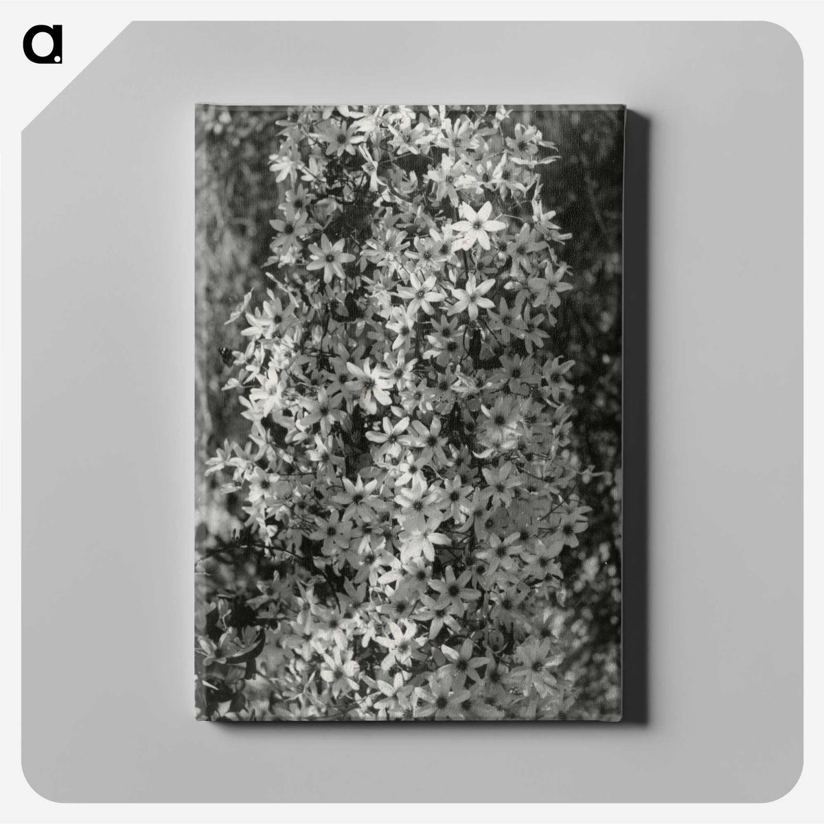 1-97_Leslie-Adkin_canvas