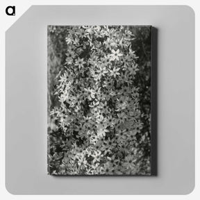 1-97_Leslie-Adkin_canvas