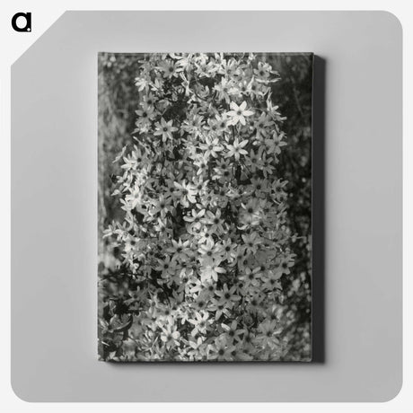 1-97_Leslie-Adkin_canvas