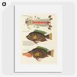 1-97_Louis-Renard_picture