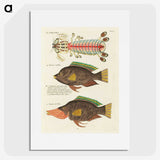 1-97_Louis-Renard_picture