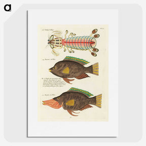 1-97_Louis-Renard_picture