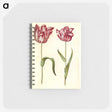 1-97_Maria-Sibylla-Merian_memo