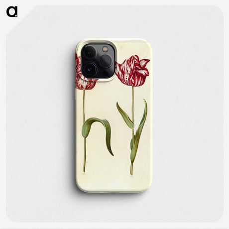1-97_Maria-Sibylla-Merian_phone