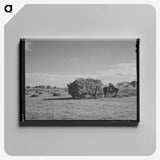 1-97_Marion-Post-Wolcott_canvas