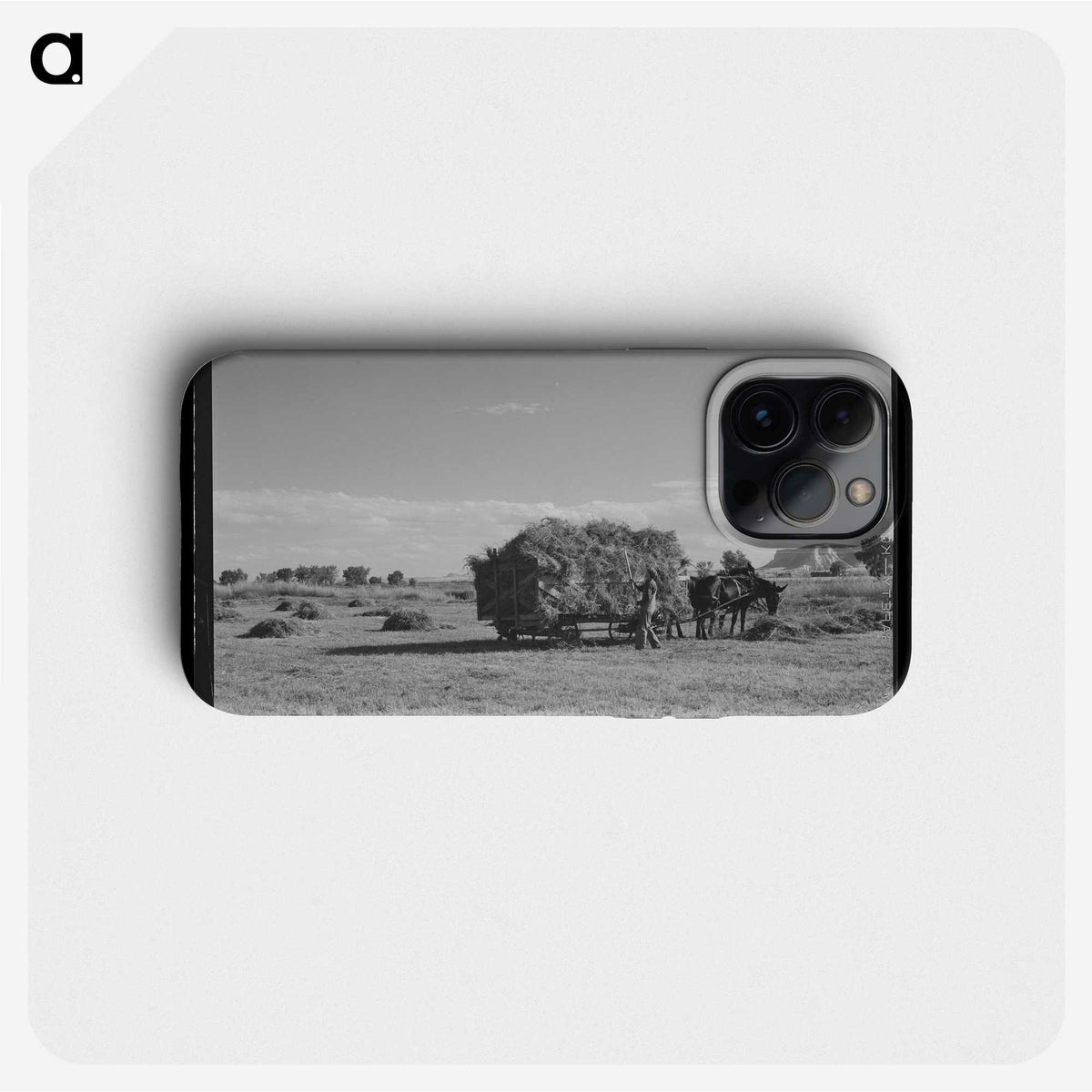 1-97_Marion-Post-Wolcott_phone