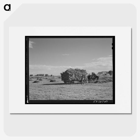 1-97_Marion-Post-Wolcott_picture
