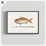 1-97_Mark-Catesby_blk-crop