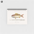 1-97_Mark-Catesby_memo