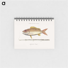 1-97_Mark-Catesby_memo