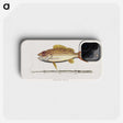 1-97_Mark-Catesby_phone