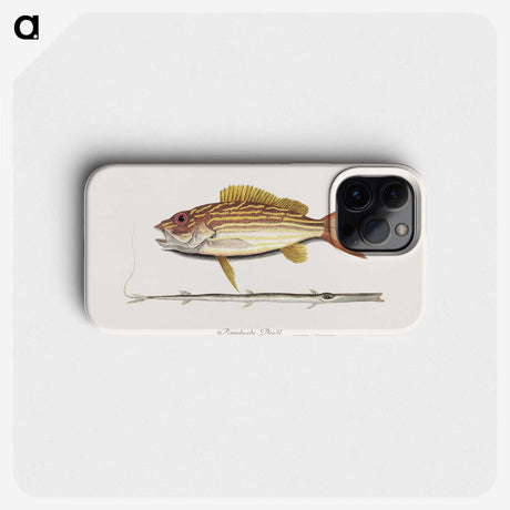 1-97_Mark-Catesby_phone