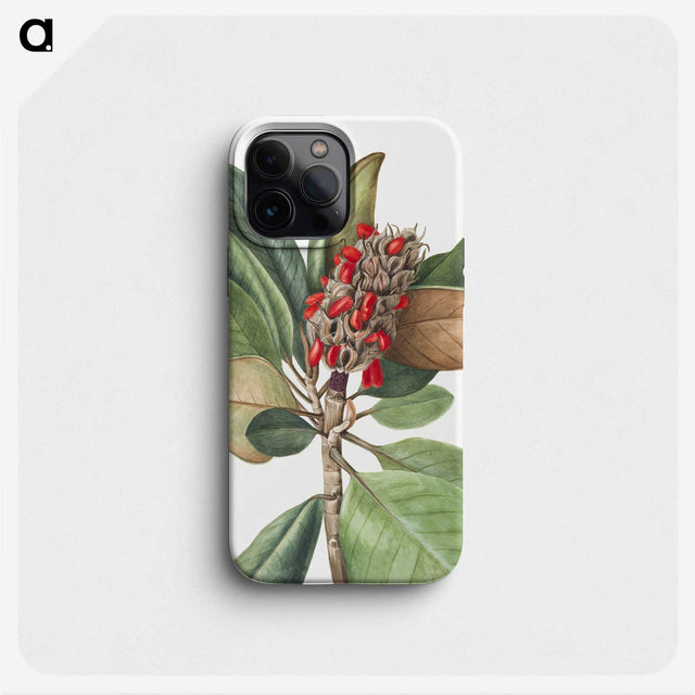 1-97_Mary-Vaux-Walcott_phone