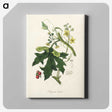 1-97_Medical-Botany_canvas