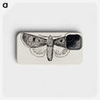 1-97_Moths-and-Butterflies-of-the-United-States_phone
