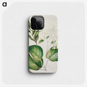 1-97_Native-Flowering-Plants-of-New-Zealand_phone
