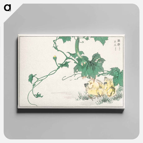 アートパネル-Chick
 - 鳥類図鑑 Canvas.