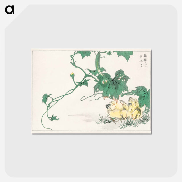 アートポストカード-Chick
 - 鳥類図鑑 Postcard.