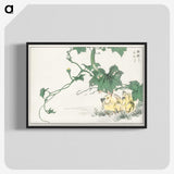 1-97_Pictorial-Monograph-of-Birds_blk-crop