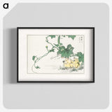 1-97_Pictorial-Monograph-of-Birds_blk