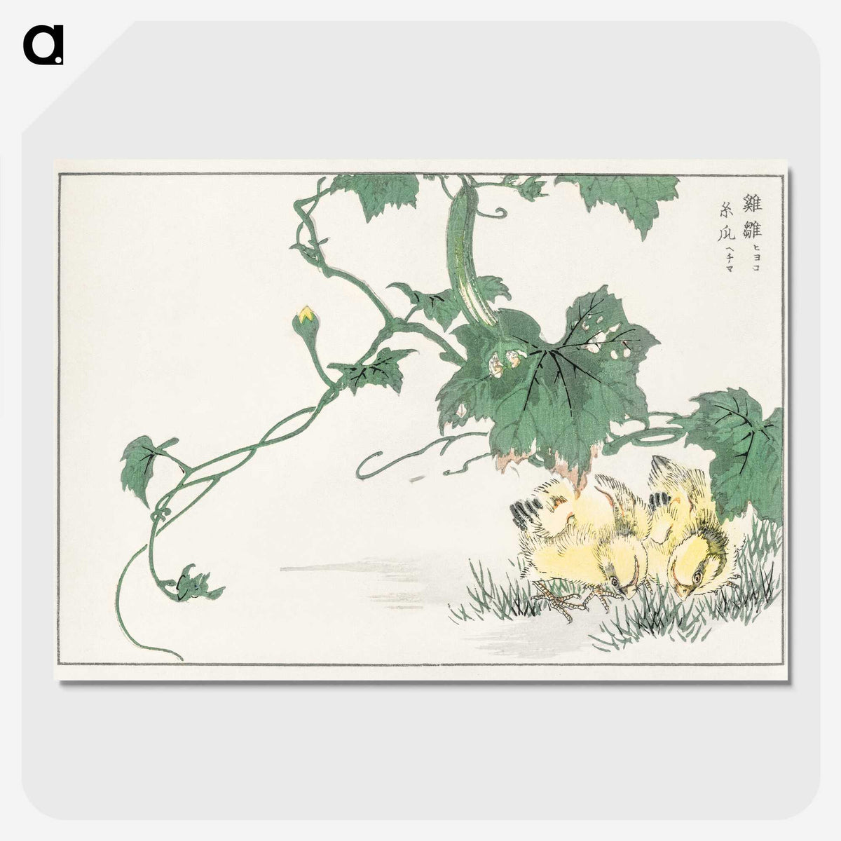 1-97_Pictorial-Monograph-of-Birds_picture-crop