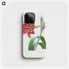 1-97_Pierre-Joseph-Redoute_phone