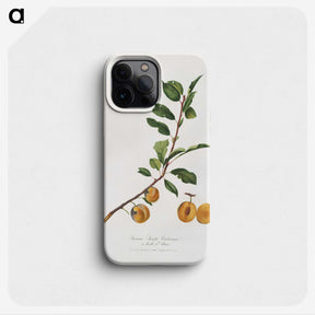 1-97_Pomona-Italiana_phone