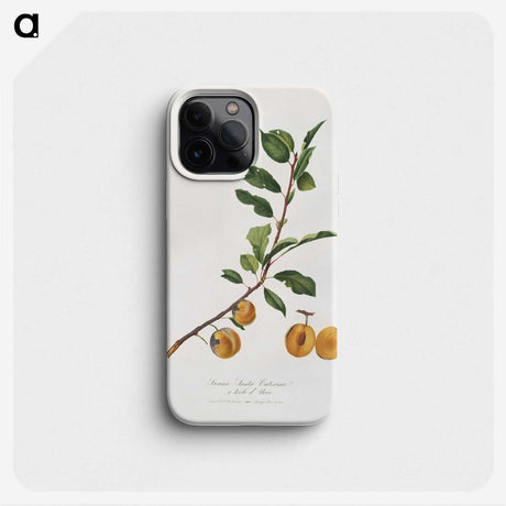 1-97_Pomona-Italiana_phone