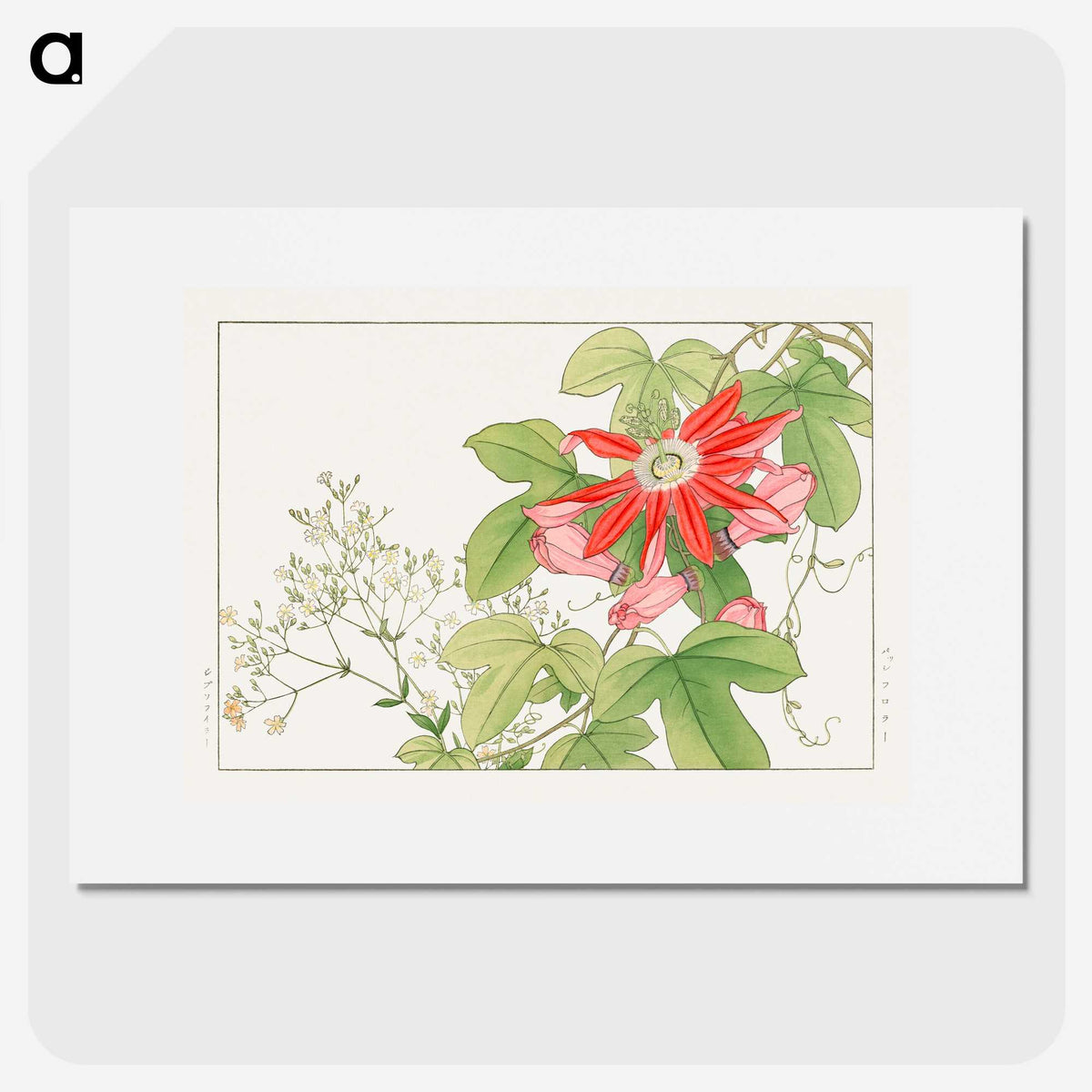 1-97_Seiyo-Soka-Zufu_picture