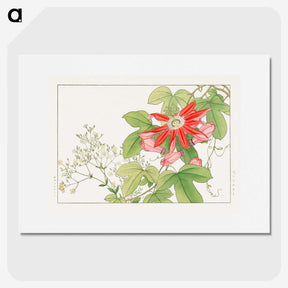 1-97_Seiyo-Soka-Zufu_picture