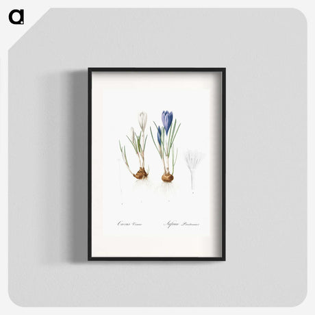 1-97_The-Lilies_blk