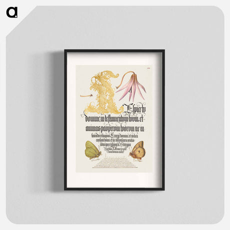 アートポスター-Dog-Tooth Violet and Butterflies from Mira Calligraphiae Monumenta
 - 書道のお手本 Poster.