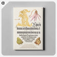 アートパネル-Dog-Tooth Violet and Butterflies from Mira Calligraphiae Monumenta
 - 書道のお手本 Canvas.