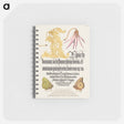 アートメモ帳-Dog-Tooth Violet and Butterflies from Mira Calligraphiae Monumenta
 - 書道のお手本 Memo.