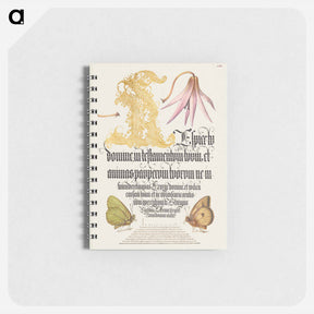 アートメモ帳-Dog-Tooth Violet and Butterflies from Mira Calligraphiae Monumenta
 - 書道のお手本 Memo.