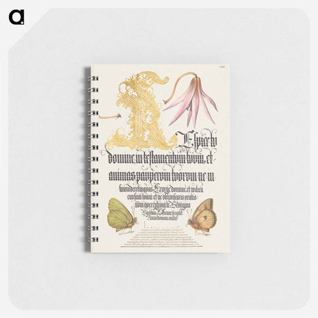 アートメモ帳-Dog-Tooth Violet and Butterflies from Mira Calligraphiae Monumenta
 - 書道のお手本 Memo.