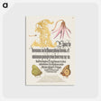 アートポストカード-Dog-Tooth Violet and Butterflies from Mira Calligraphiae Monumenta
 - 書道のお手本 Postcard.