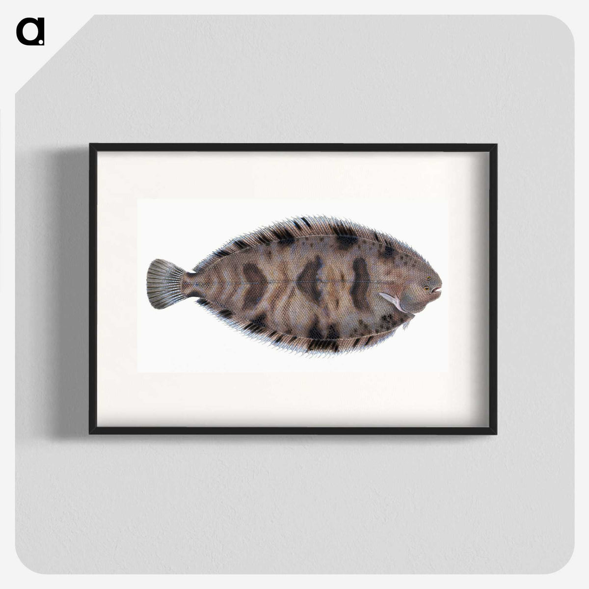 1-97_The-Natural-History-of-British-Fishes_blk