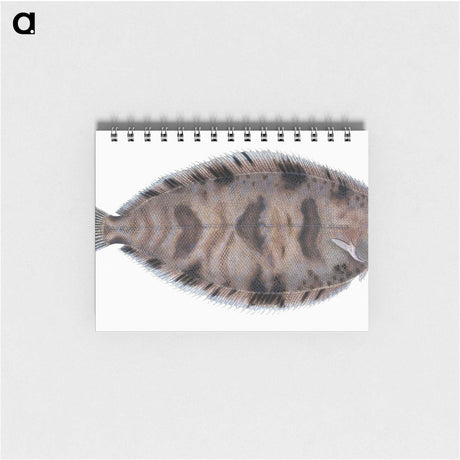 1-97_The-Natural-History-of-British-Fishes_memo