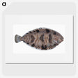 1-97_The-Natural-History-of-British-Fishes_picture