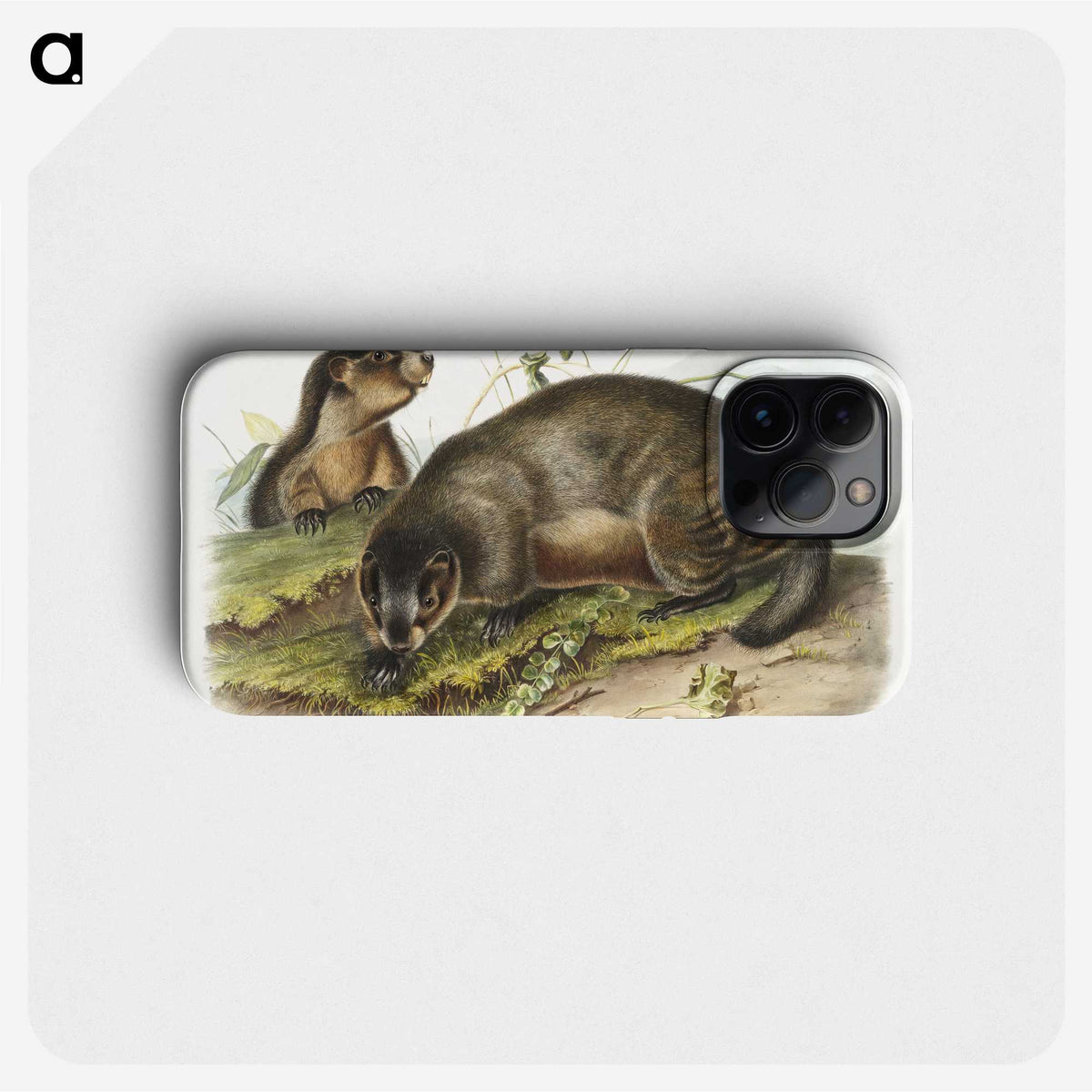 1-97_The-Viviparous-Quadrupeds_phone