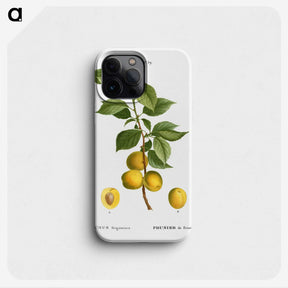 1-97_Treatise-on-Trees-and-Shrubs_phone