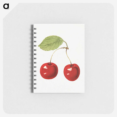 1-97_USDA-Watercolor-Fruit-Painting-Collection_memo