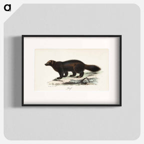 アートポスター-Ahma, tidskrift för jägare och naturforskare -lehden kuvitusta - ヴィルヘルム フォン ライト Poster.
