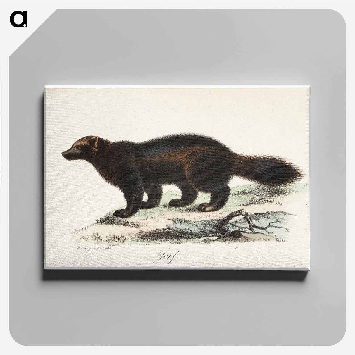 Ahma, tidskrift för jägare och naturforskare -lehden kuvitusta - ヴィルヘルム フォン ライト Canvas.