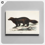 Ahma, tidskrift för jägare och naturforskare -lehden kuvitusta - ヴィルヘルム フォン ライト Canvas.