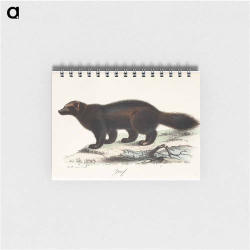 Ahma, tidskrift för jägare och naturforskare -lehden kuvitusta - ヴィルヘルム フォン ライト Memo.