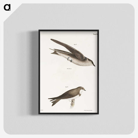 1-97_Zoology-of-New-York_blk-crop
